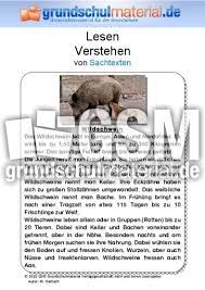 Gebiete aus dieser zone, die weit vom pol entfernt lie. Wildschwein Sachtext Sachtexte Tiere Sachtexte Lesen Deutsch Klasse 3 Grundschulmaterial De
