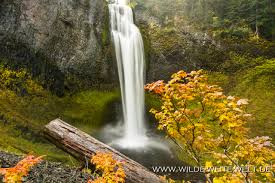 Maybe you would like to learn more about one of these? Salt Creek Falls Willamette River Www Wilde Weite Welt De