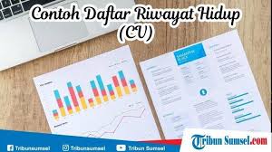 Membuat resume sebenarnya tidak terlalu sulit karena berpatokan pada tulisan aslinya. Cara Membuat Cv Yang Baik Coba 5 Aplikasi Gratis Buat Cv Kamu Lebih Menarik Tribun Pekanbaru