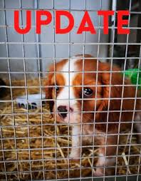 Valley view is like a second home. No Puppy Farms In Queensland Home Facebook