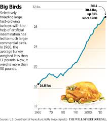 Ok so i see all these post about turkey size but what is the average dressed weight of the differant types of turkeys. Talking Turkey Why Your Thanksgiving Dinner Weighs More Wsj