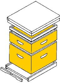 Dadant Gif 5643 Octets Avec Images Plans De Ruche Ruche Ruche Abeille