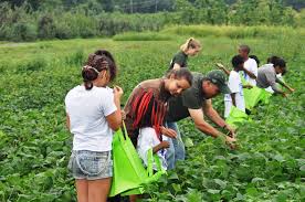 Happy village near small city and town. Jersey City Kids Learn Farming In Pittstown Nj Spotlight News
