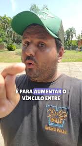 Olha só como a Aurora está evoluindo no treino de ambientação à caixa de  transporte! Agora, estamos introduzindo o comando "caixa" mesmo com mais  estímulos ao redor., A verdadeira obediência vai muito ...