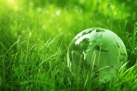 If your yard trim was not picked up on your regular collection day, leave materials curbside for delayed pickup. 140 225 Environmental Protection Stock Photos Free Royalty Free Environmental Protection Images Depositphotos