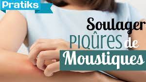 Votre voyage ou vos vacances se passeraient à merveille sans ces moustiques qui vous ont piqué toute la nuit ? Comment Soulager Les Piqures De Moustiques Youtube
