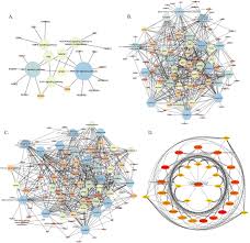 Image result for Psoralea glabra