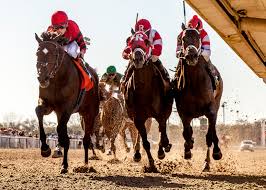 Expert Horse Racing Handicapping