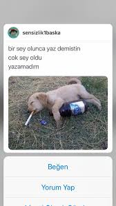 cilgin hirsiz adli kullanicinin huzunlu poncik panosundaki pin mizah komik komik seyler