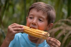 PHOTOS: Colonial Milling's heirloom corn