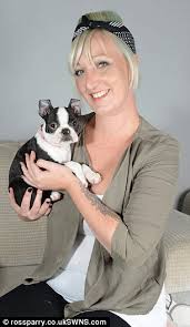 Although bostons are not true terriers, please check out /r/terrier. Boston Terrier Puppy Survives 30 Minutes In Tumble Drier After 2 Year Old Girl Shut Her In Daily Mail Online