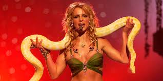 Image result for britney spears python