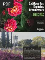 Image result for Eriocaulon angustibracteatum