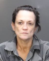 HUTCHINSON, MARY MAY Charges: MFG DEL SALE OR POSS OF METH This information  and more is available at isoms.seviercountytn.org:9000/Jail?hours