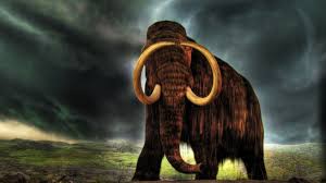 Maybe you would like to learn more about one of these? Animals Wallpapers Hd 1080p Group 80