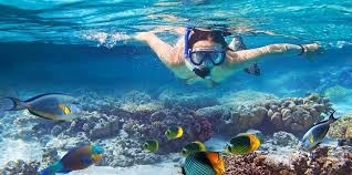 Hanauma bay snorkeling advice from a local insider. Snorkeling Vs Scuba Diving What S The Difference Snorkelfest Snorkel Hanauma Bay