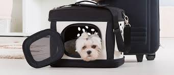 My pomeranians are small, but even their tiny crates are an a eyesore. Die Richtige Transportbox Fur Deinen Hund I Tierisch Wohnen