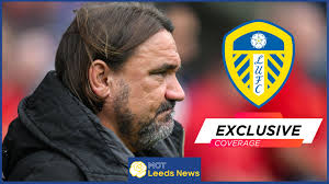 Don Goodman makes Leeds United claim after draw at Norwich