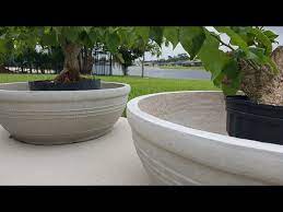 These adorable planters look great with a small plant or succulent tucked inside. Diy Large Concrete Planter Any Size For Less Youtube