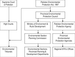 organizational chart of pakistan environmental institutions