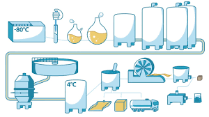 How Yeast Is Made Lesaffre Youtube