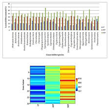 Image result for Enteropogon monostachyos