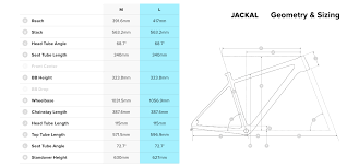 Santa Cruz Jackal Dirt Jump Bike Build Review