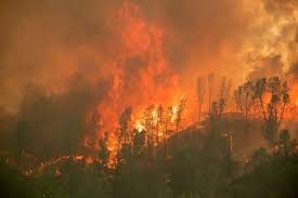 A firefighter sprays water as a fire inches toward a home in los angeles' porter ranch area on friday morning. Obrazem Nicive Pozary V Kalifornii Srpen 2020 Aktualne Cz