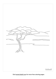 Print and color the best free tree color pictures for kids. Acacia Tree Coloring Pages Free Nature Coloring Pages Kidadl