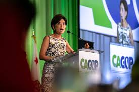 Would you like to change the currency to euros (€)? Can Young Kim Help Turn Orange County Red Again The New York Times