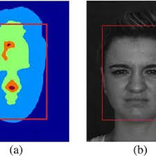 Face detection result; a a depth facial image. b its mapping result on...