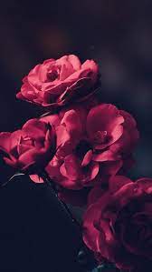 Pin On I M In Love With Flower