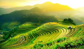 World champ., wc, qualifying asia part 2. Should I Go To Vietnam Or Malaysia Which Is Cheaper Which Is Better A Travel Comparison For Malaysia Vs Vietnam Budgetyourtrip Com