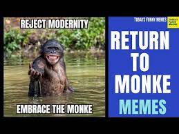 Go back i want to be monkey. Todays Funny Memes Return To Monke Go Back I Want To Be Monkey Reject Humanity Return To Monke Know Your Meme