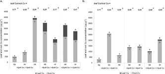 Image result for Haumaniastrum