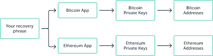 In this book, all information about money movements is a bank is no longer necessary for business transactions with cryptocurrencies. What Are Ledger Applications And Why Do I Need Them Ledger