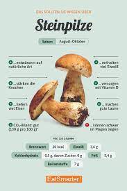 So können bereits im märz märzschnecklinge und fichtenzapfenrüblinge im wald gefunden werden. Steinpilze Eat Smarter