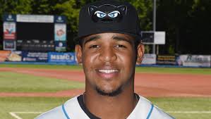 Renegades fall to Vermont in suspended game