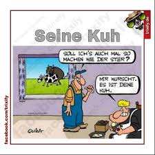 So Eine Blode Kuh Witze Lustig Lustige Cartoons Witze Bilder