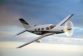 Image result for Piper