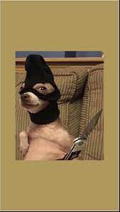 Funny Dog Wallpaper Dog Wallpaper Funny Animal Jokes Funny Wallpapers