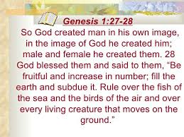 Genesis 1 27 28 Genesis 1 27 Sayings Sermon