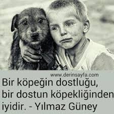 Guzel Sozler Hulya Adli Kullanicinin Alinti Sozler Panosundaki Pin Guzel Soz Kopek Alinti Sozler