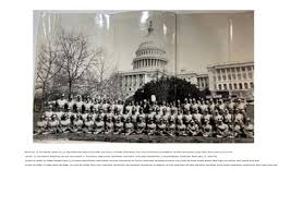 Image result for Cherry Blossom White 1971 Colt