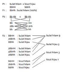 Essay paper help 'if you haven't already tried taking essay paper help from tfth, i strongly suggest that you do so right away. Contoh Soal Suggestion Essay