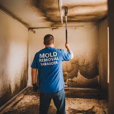 Mold Removal Sarasota, FL | Certified Specialists 24/7