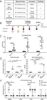 Share your photos with #quax and tag @quaxbaby. Novel Multiparameter Correlates Of Coxiella Burnetii Infection And Vaccination Identified By Longitudinal Deep Immune Profiling Scientific Reports