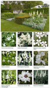 Telegraph Garden Chelsea Flower Show 2015 White Flowers Garden Chelsea Flower Show White Gardens