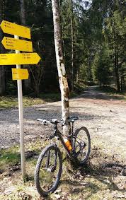 Zinnkopfrunde Mit Dem Mountainbike Ruhpolding Chiemgau Mountainbike Gutes Training Chiemgau