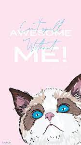 Pin By Meowese Cat Jewelry For Cat On Cat Art Taylor Swift Wallpaper Taylor Swift Cat Taylor Swift Songs